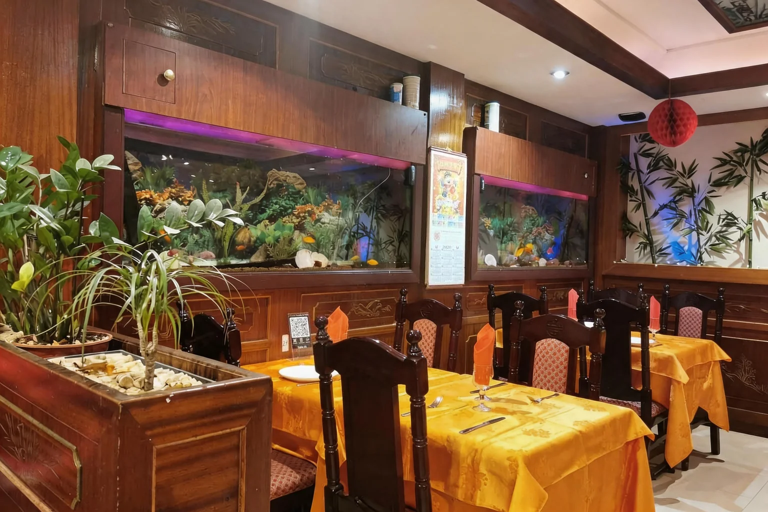 Aquariums on the wall, orange tablecloths, green plants in the foreground