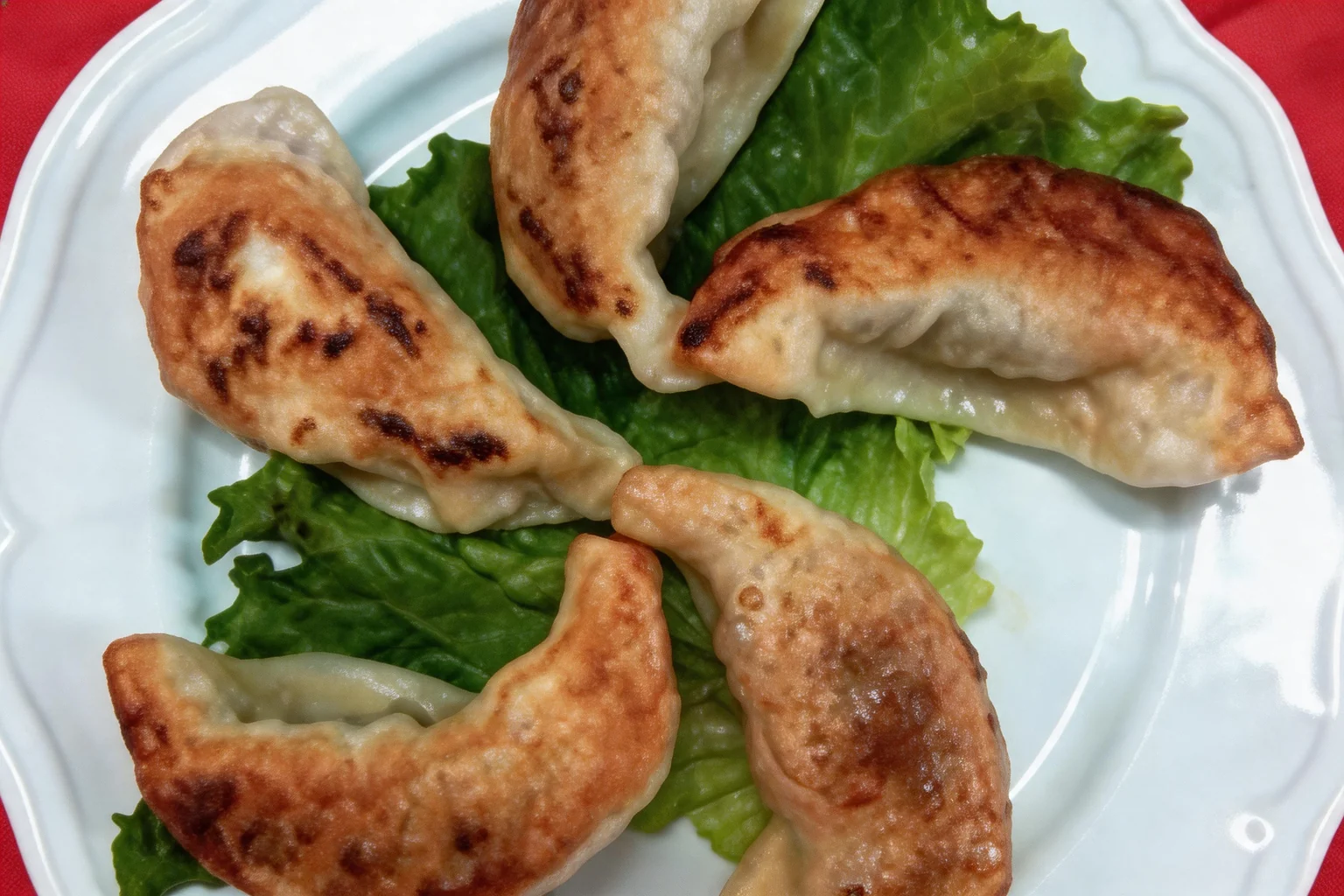 V10 Grilled Peking dumplings, white plate, red tablecloth